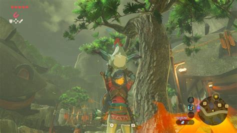 ‘Breath Of The Wild’ Cucco Locations: Kakariko Village Hiding .